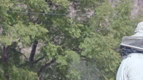 Bee keeper walking in and out of frame surrounded by buzzing bees Stock Footage 84263650