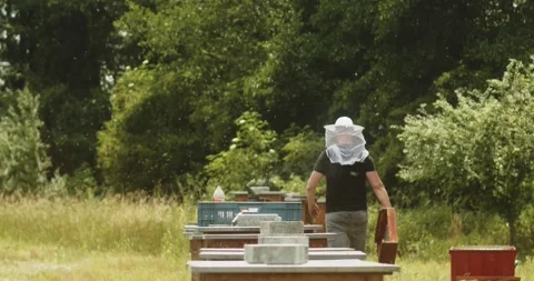 Bee keeper walking next to bee hives Video stock 245303942