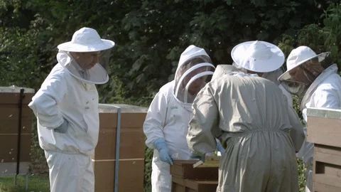 Bee keepers Stock Footage 128667830