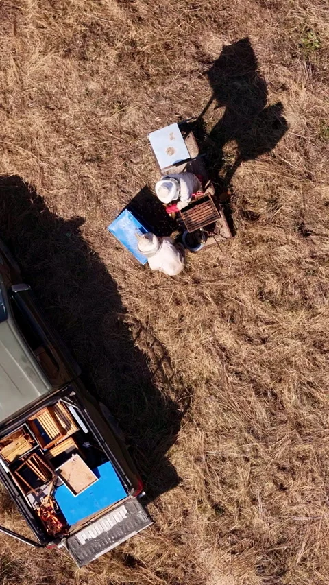 Bee Keepers Inspecting Beehive Frames Beside Utility Vehicle, Top Down Drone Stock Footage 346116040