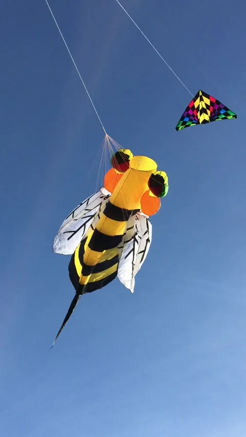 Bee Kit and giant delta lifter Stock Footage 167971013