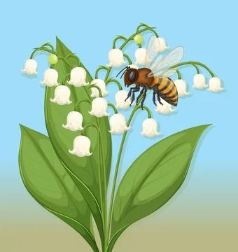 Bee on Lily of the Valley Illustration Stock Illustration