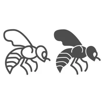 Bee line and solid icon, Honey concept, Honey bee sign on white background イラスト素材