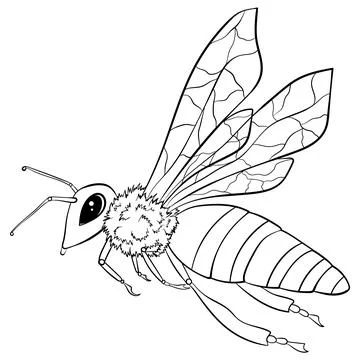 Bee line art style Stock Illustration