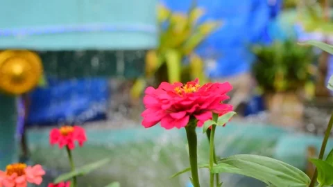 Bee looking for pollen on a flower Stockbeeldmateriaal 85411145
