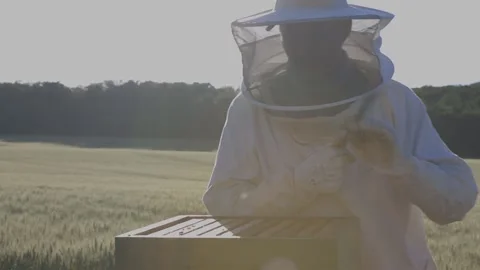 Bee Luxembourg 1 動画素材 133498122