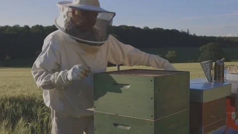 Bee Luxembourg 9 動画素材 133499461