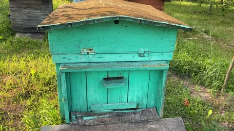 Bee master works near bee hives. Video stock 156323294