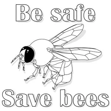 Bee monochrome illustration - vector text quotes and bee drawing. Lettering p Stock Illustration