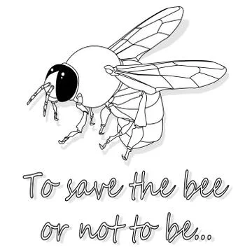 Bee monochrome illustration - vector text quotes and bee drawing. Lettering p Stock Illustration