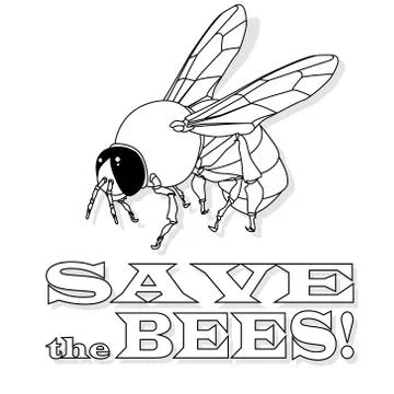 Bee monochrome illustration - vector text quotes and bee drawing. Lettering p Stock Illustration