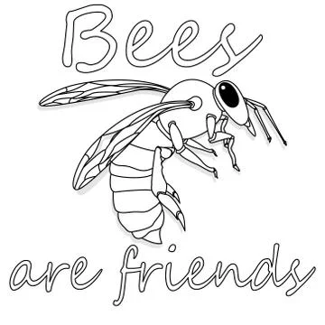 Bee monochrome illustration - vector text quotes and bee drawing. Lettering p Stock Illustration