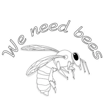 Bee monochrome illustration - vector text quotes and bee drawing. Lettering p Stock Illustration
