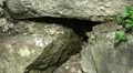 Bee at a natural Stone Wall 140339p5 HD Footage