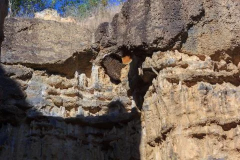 Bee nesting on the cliff Stock Photos