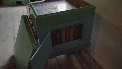 Bee Observation Hive with Window Видео 243111030
