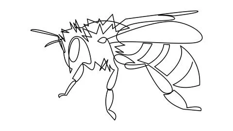 Bee one line art. Continuous line drawing of wasp animal. Single line graph.. Stock Illustration
