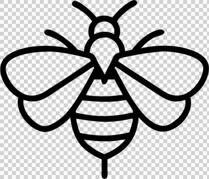Bee in outline icon style, insects, animal theme. Stock Illustration