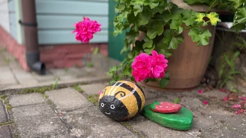 Bee is painted on a rock Stock Footage 248419362