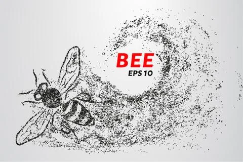 Bee of the particles. The bee consists of small circles and dots. Vector illu Stock Illustration