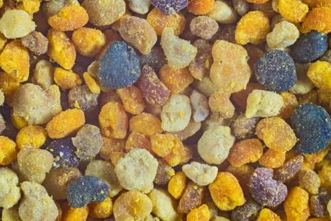 Bee pollen closeup . Stock Photos