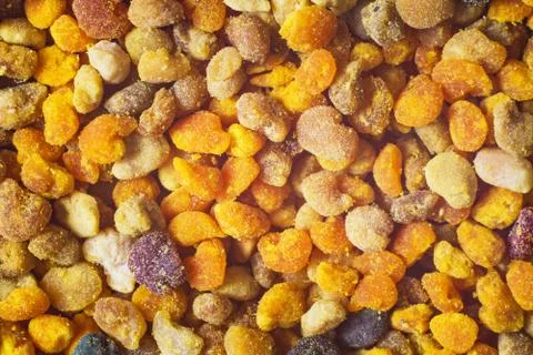 Bee pollen closeup . Stock Photos