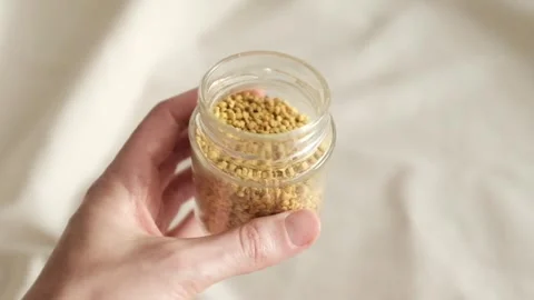 Bee pollen granules in a jar in granules. Healthy superfood. Stock Footage 317721579