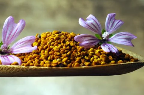 Bee pollen with mallow flower . Stock Photos