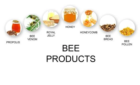 Bee products Stock Photos