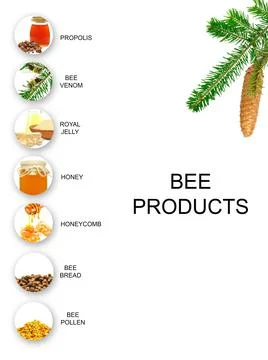 Bee products Stock Photos