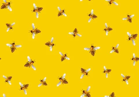 Bee seamless pattern background . Vector bee background. Illustrazione stock