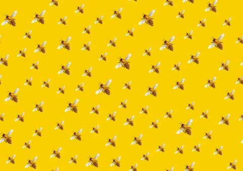 Bee seamless pattern background . Vector bee background. Stock Illustration