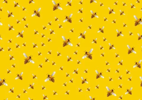 Bee seamless pattern background . Vector bee background. Stock Illustration