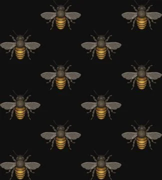 Bee Seamless Pattern on Black Background. Vector 스톡 일러스트
