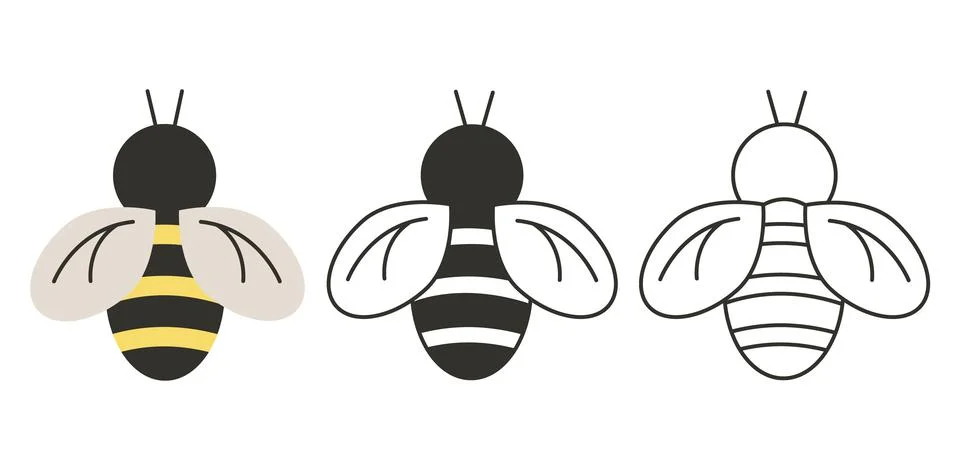 Bee. Set of three insects in color and contour drawing Stock Illustration