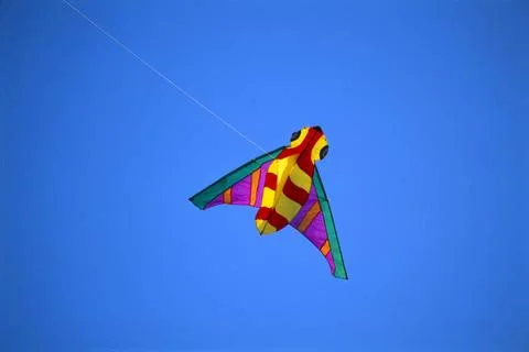 Bee shape kite flying, Kite Makara Sankranti Festival, international kite ... Stock Photos