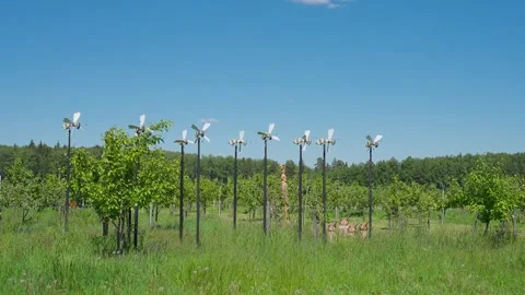A bee-shaped windmill in a field Stock Footage 348008054