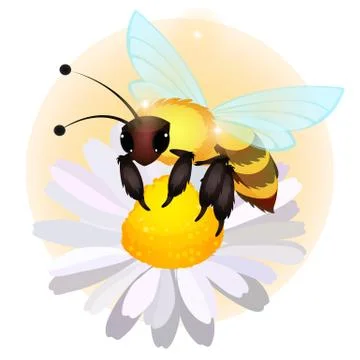 The bee sits on a flower of a field chamomile isolated on white background Stock Illustration