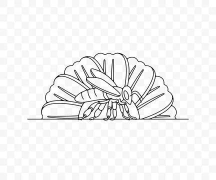 Bee sits on a flower, insect and apiary, graphic design Stock Illustration