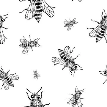 Bee sketch pattern. Hand drawn insect bees on transparent background. Seamles Stock Illustration