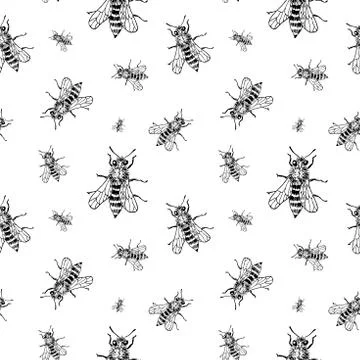 Bee sketch pattern. Hand drawn insect bees on transparent background. Seamles Stock Illustration