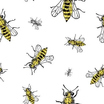 Bee sketch pattern. Hand drawn insect bees on transparent background. Seamles Stock Illustration