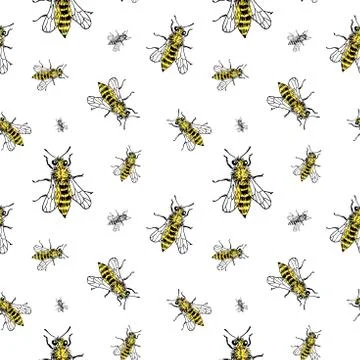 Bee sketch pattern. Hand drawn insect bees on transparent background. Seamles Stock Illustration
