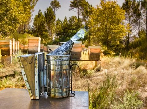 Bee smoker, a beekeeping basic equipment Stock Photos
