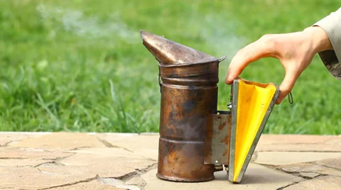 Bee smoker Video stock 37334349