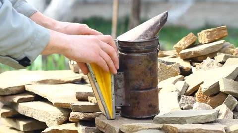 Bee smoker Video stock 37798895