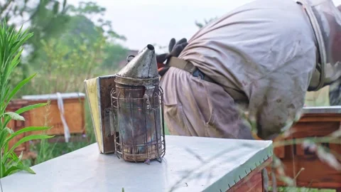 Bee Smoker Stock Footage 322940535