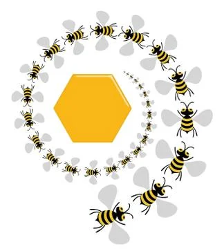Bee Spiral Stock Illustration