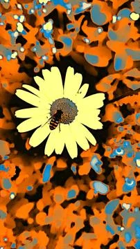 A bee sucks pollen from a bloomed daisy. Stock Illustration