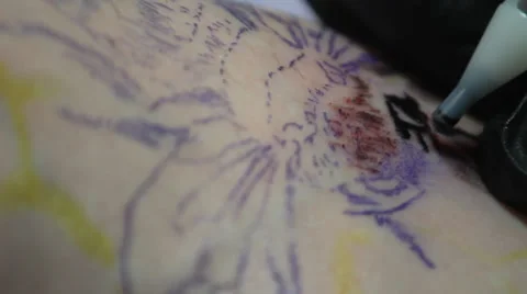 Bee Tattoo Close Up Stock Footage 28304150